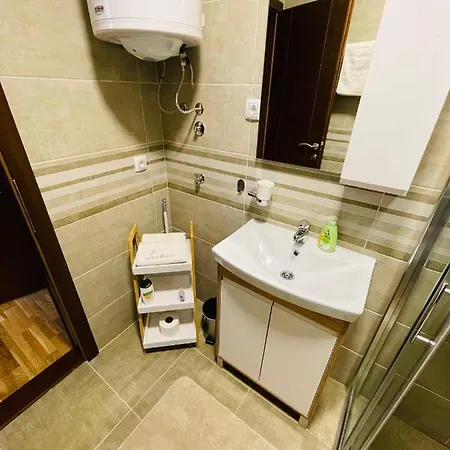 Apartment Lux Vojinovic *