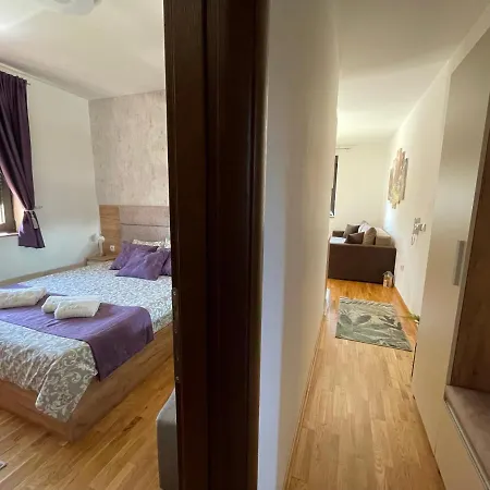 Lux Vojinovic * Zlatibor
