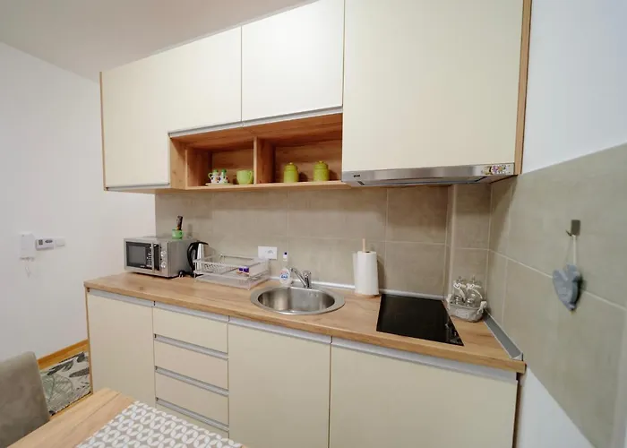 Apartament Vojinovic